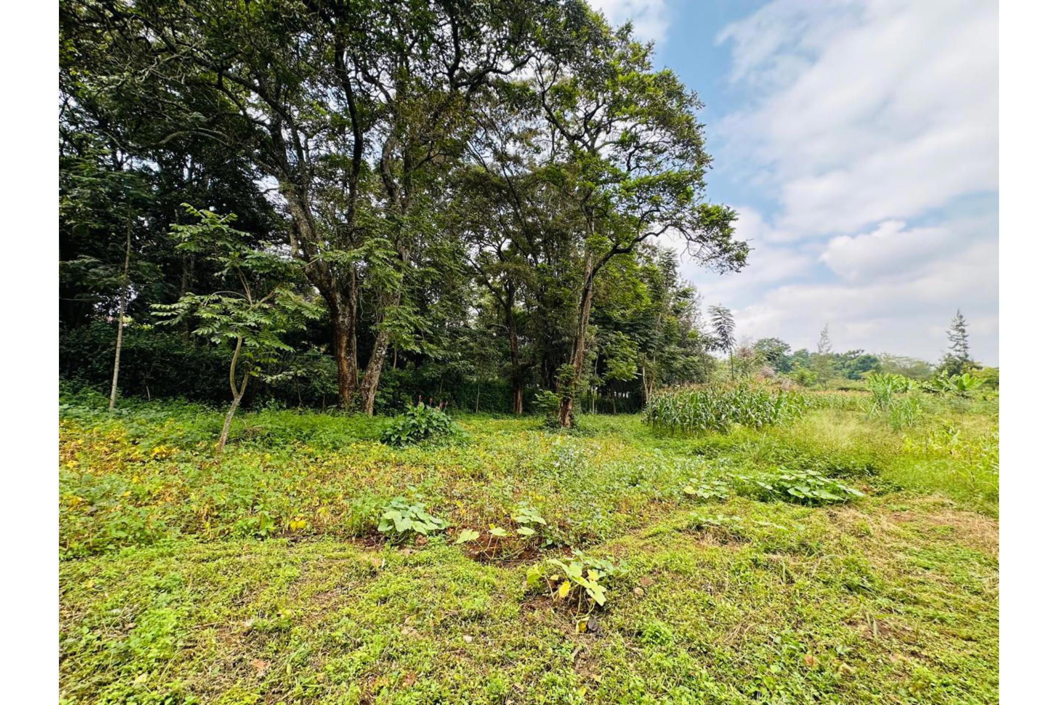 Residential vacant land for sale in Ridgeways, Kenya - 3KE1743278