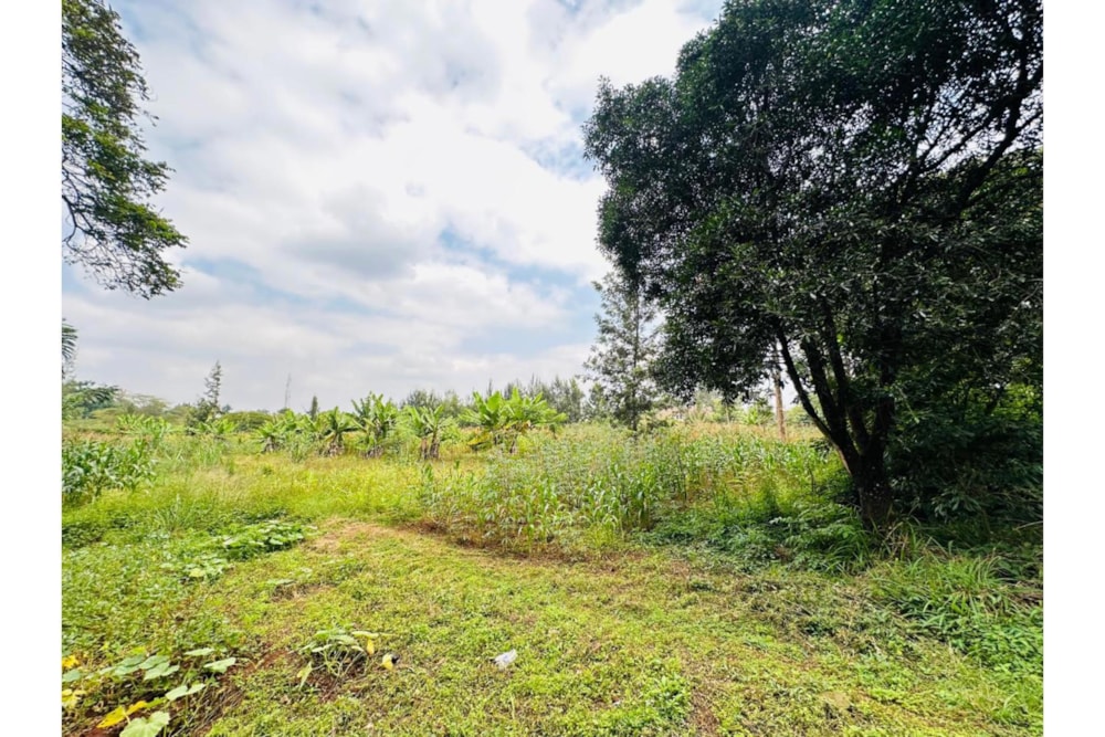 Residential vacant land for sale in Ridgeways, Kenya - 3KE1743280 Residential vacant land for sale in Ridgeways, Kenya - 3KE1743280