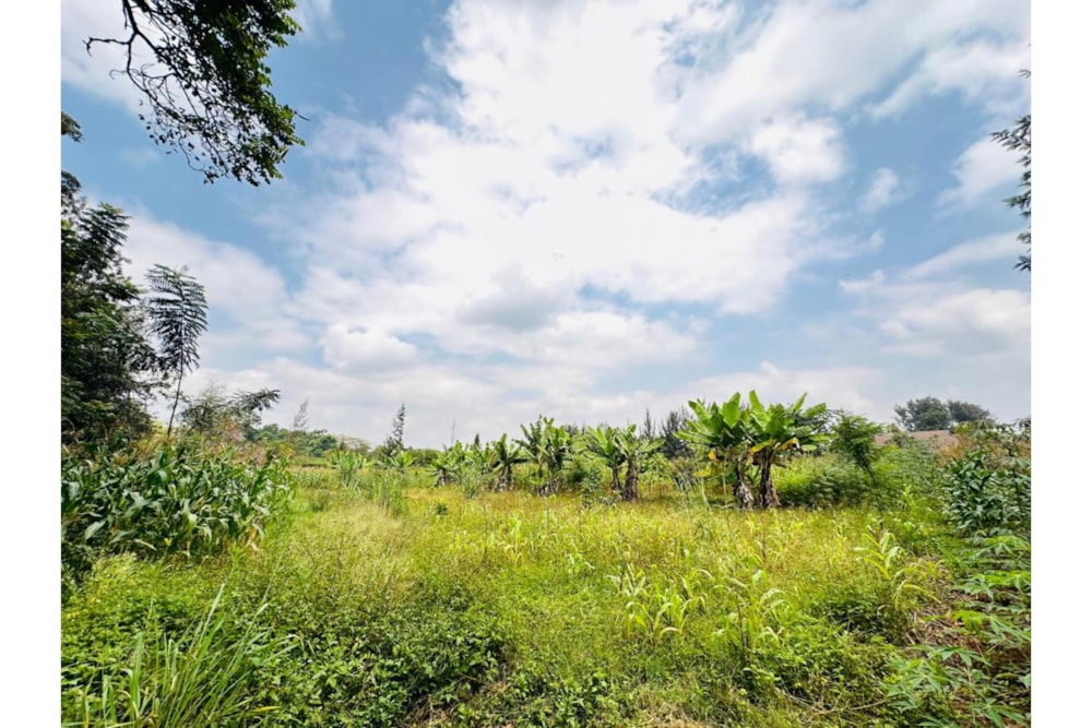 Residential vacant land for sale in Ridgeways, Kenya - 3KE1743280 Residential vacant land for sale in Ridgeways, Kenya - 3KE1743280