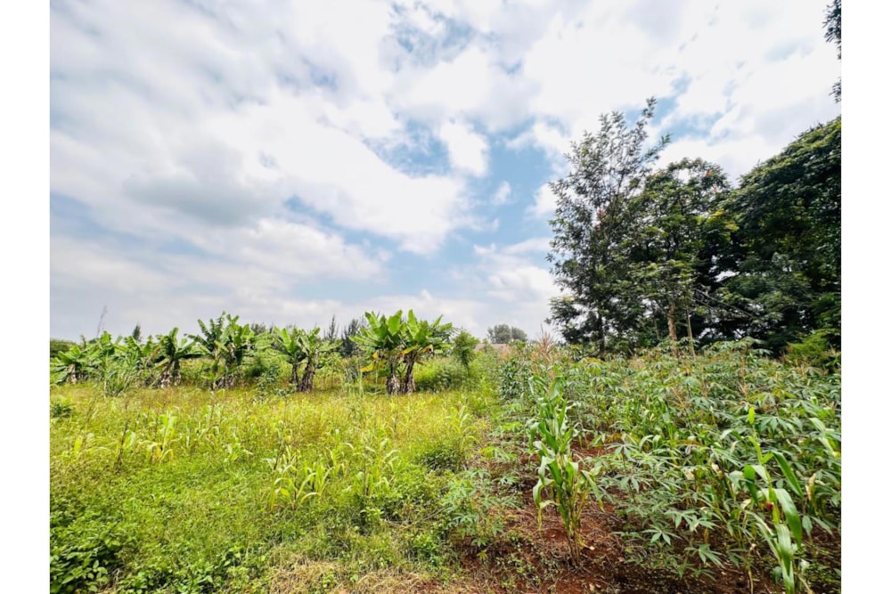 Residential vacant land for sale in Ridgeways, Kenya - 3KE1743280 Residential vacant land for sale in Ridgeways, Kenya - 3KE1743280
