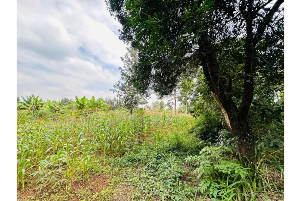 Residential vacant land for sale in Ridgeways, Kenya - 3KE1743280 Residential vacant land for sale in Ridgeways, Kenya - 3KE1743280