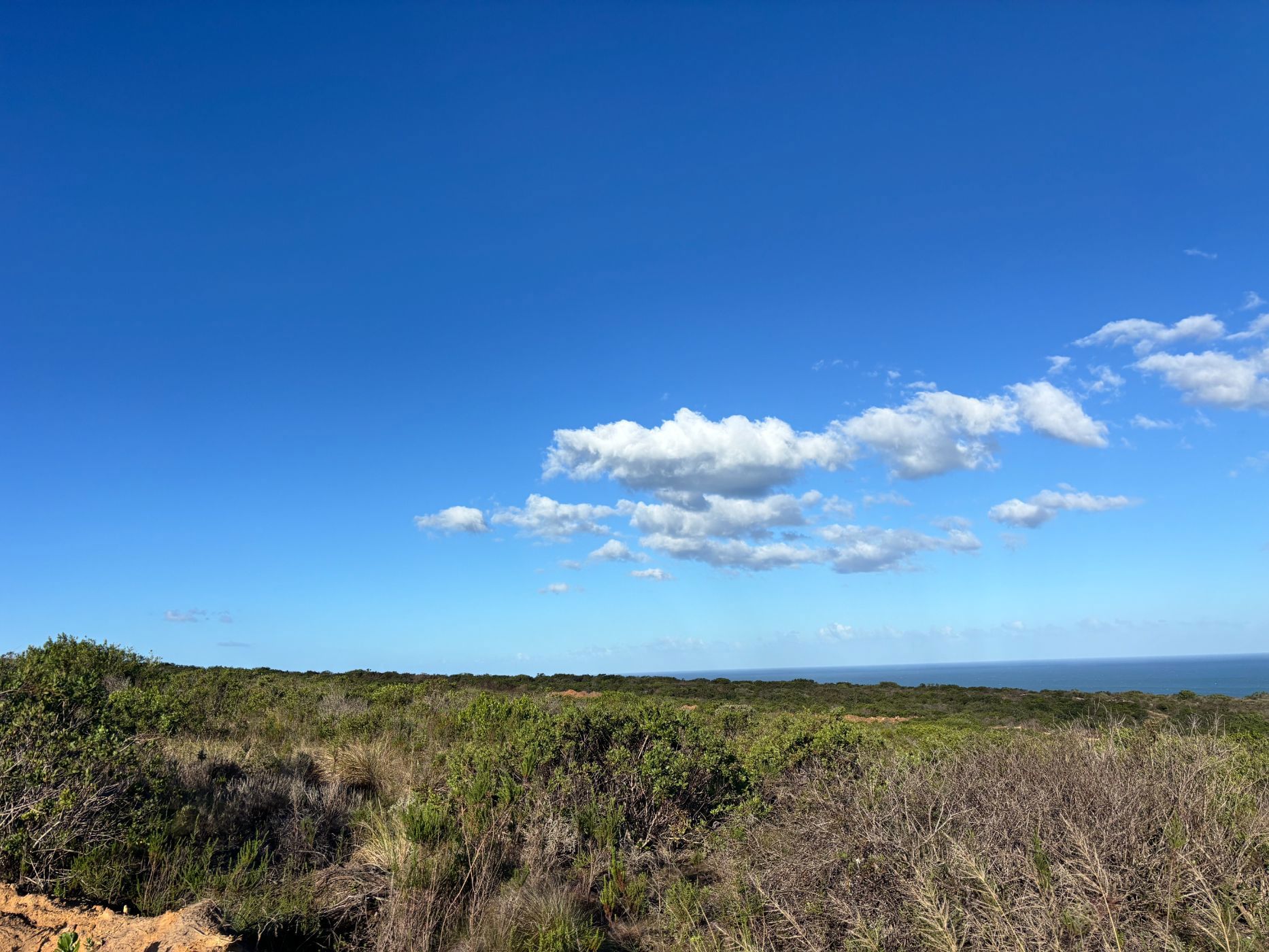Residential vacant land for sale in Paradise Coast - 1MB1743402