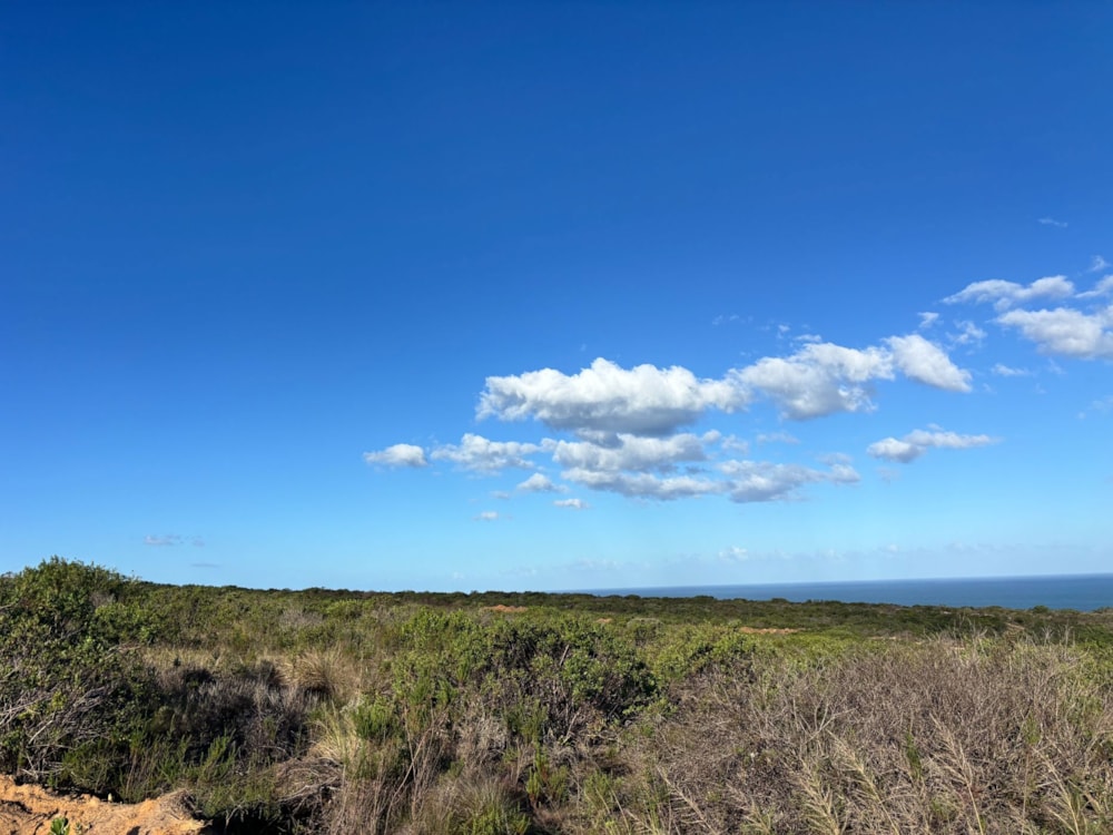 Residential vacant land for sale in Paradise Coast - 1MB1743402 Residential vacant land for sale in Paradise Coast - 1MB1743402