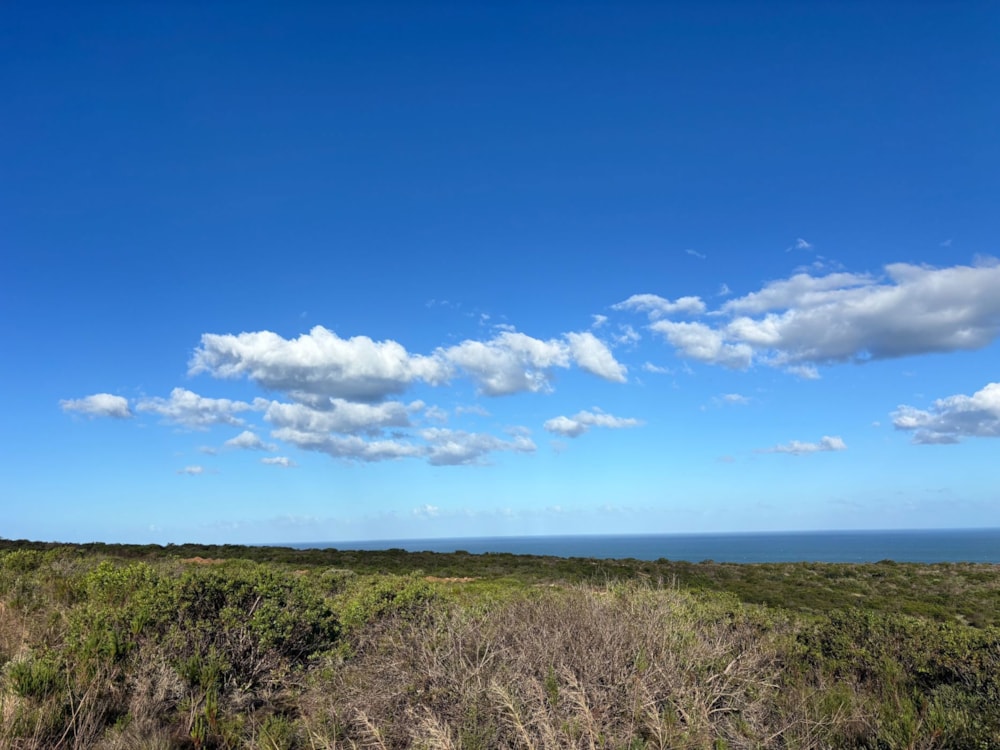 Residential vacant land for sale in Paradise Coast - 1MB1743402 Residential vacant land for sale in Paradise Coast - 1MB1743402