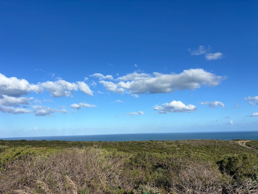 Residential vacant land for sale in Paradise Coast - 1MB1743402 Residential vacant land for sale in Paradise Coast - 1MB1743402