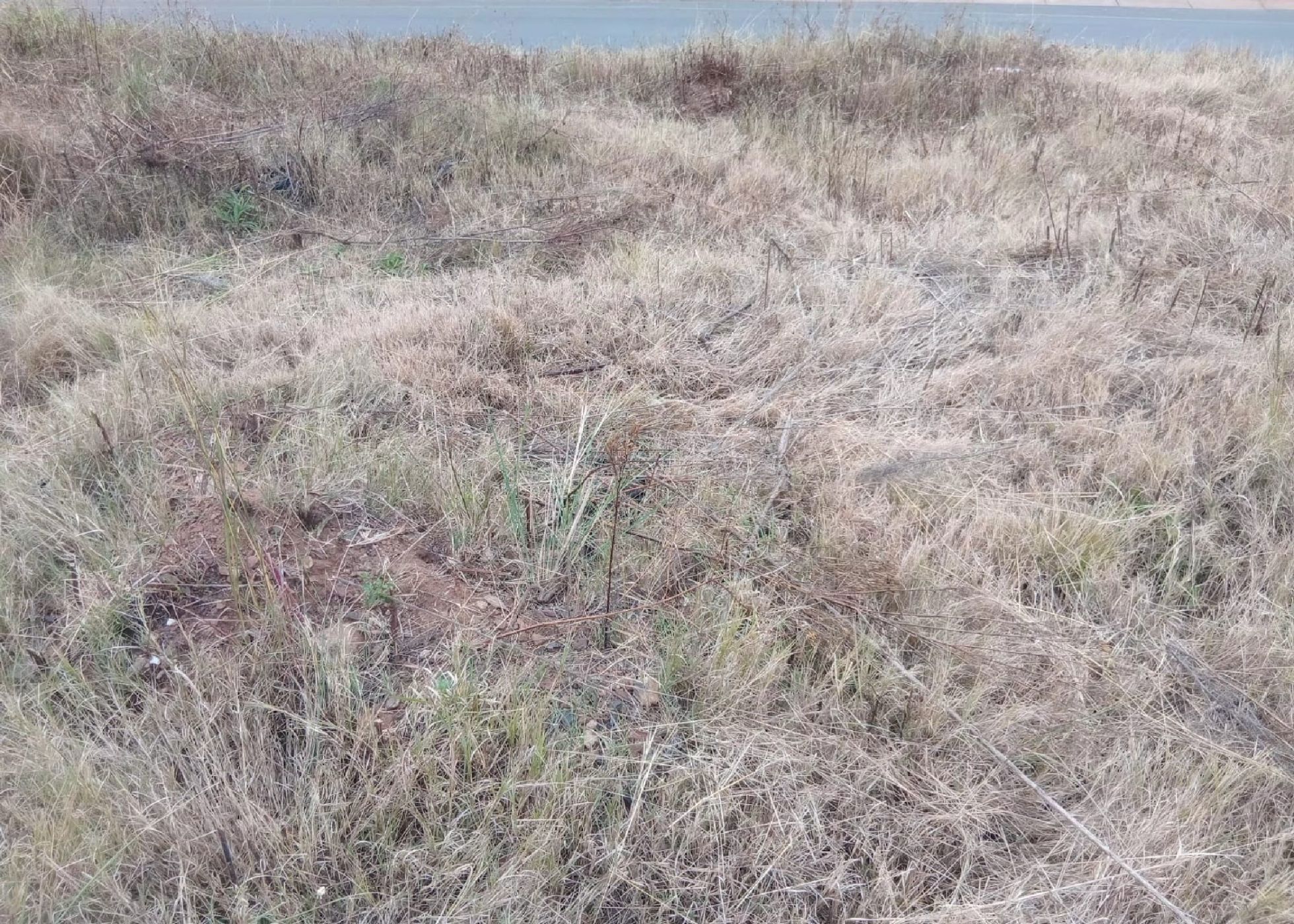 Vacant land for sale in Aerorand - 1MD1743401