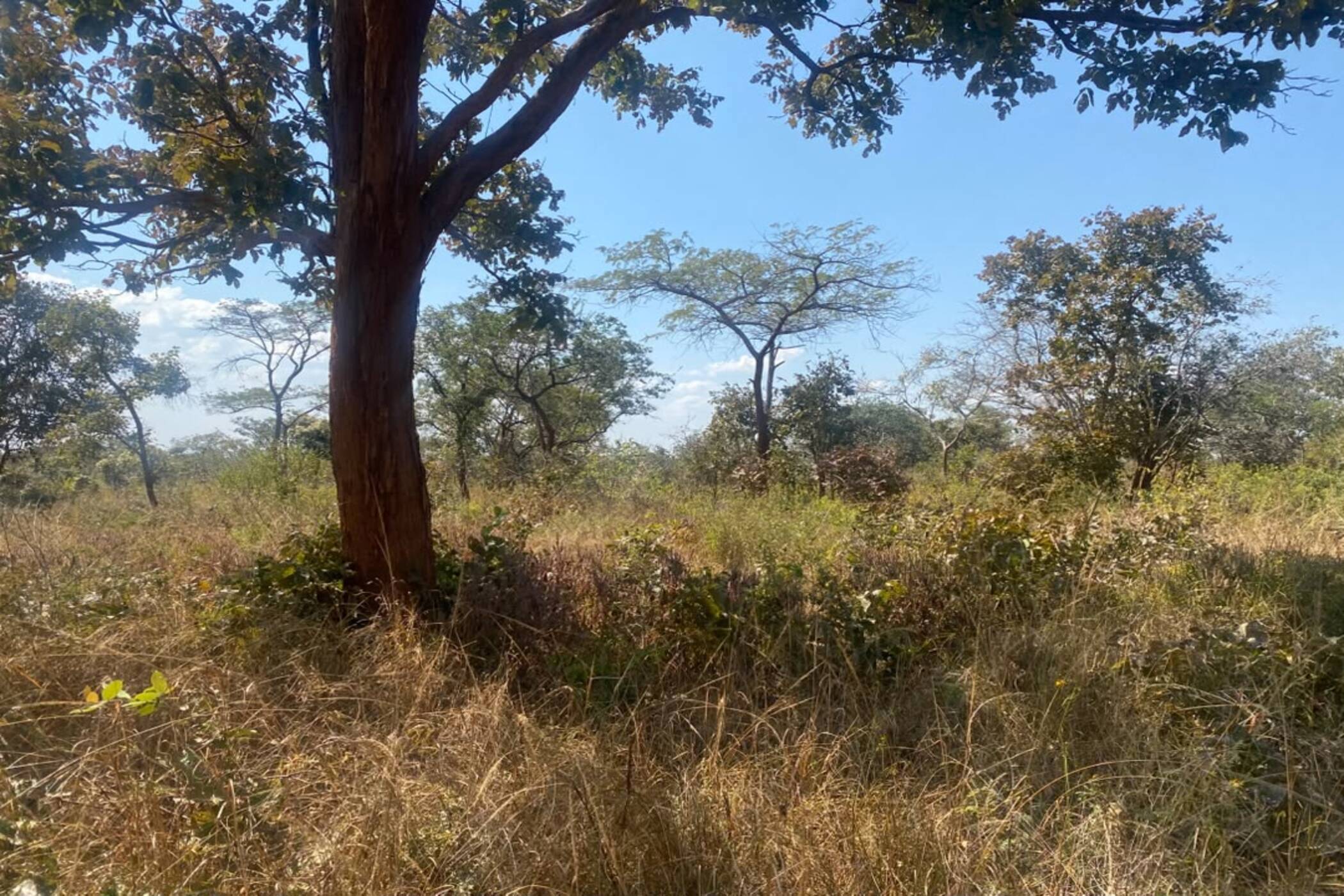 Vacant land for sale in Chongwe, Zambia - 3ZA1743463