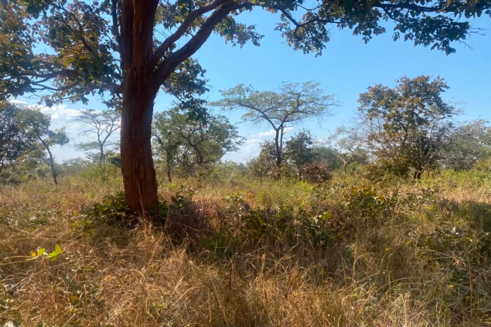 Vacant land for sale in Chongwe, Zambia - 3ZA1743463