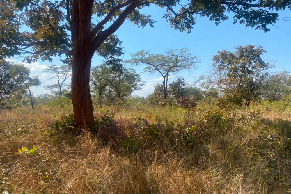 Vacant land for sale in Chongwe, Zambia - 3ZA1743463 Vacant land for sale in Chongwe, Zambia - 3ZA1743463