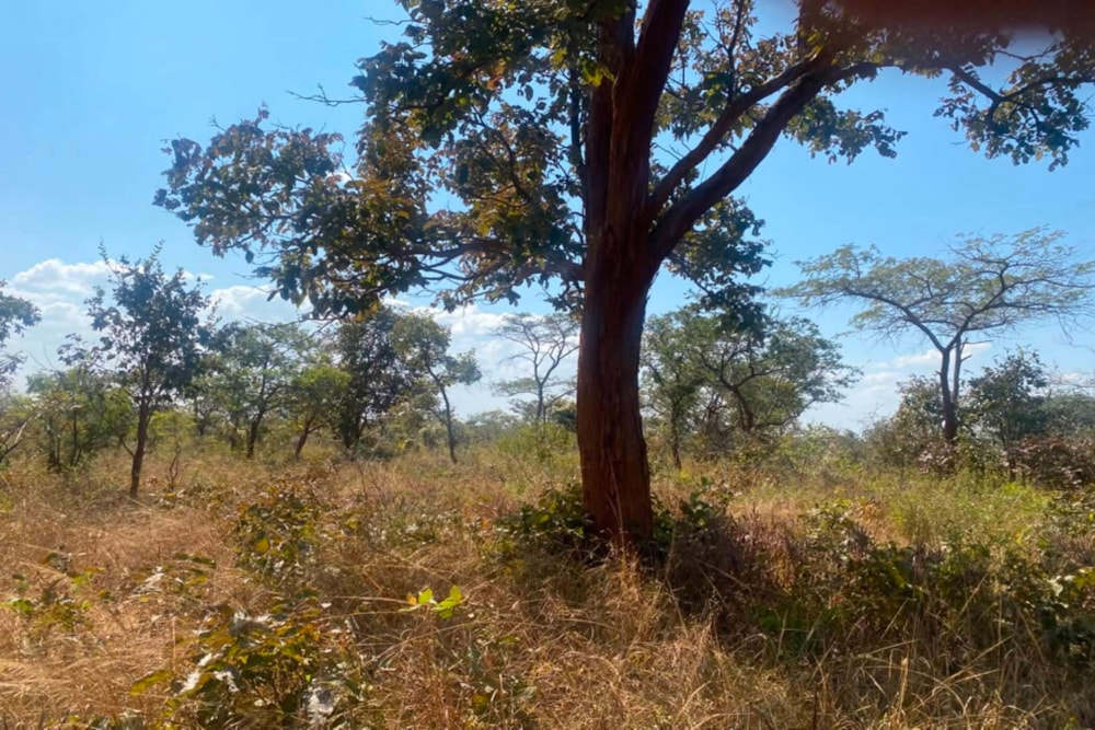 Vacant land for sale in Chongwe, Zambia - 3ZA1743463
