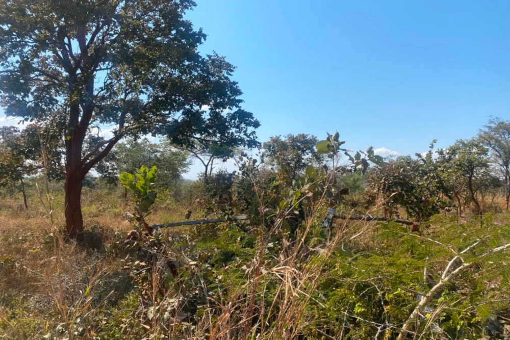 Vacant land for sale in Chongwe, Zambia - 3ZA1743463