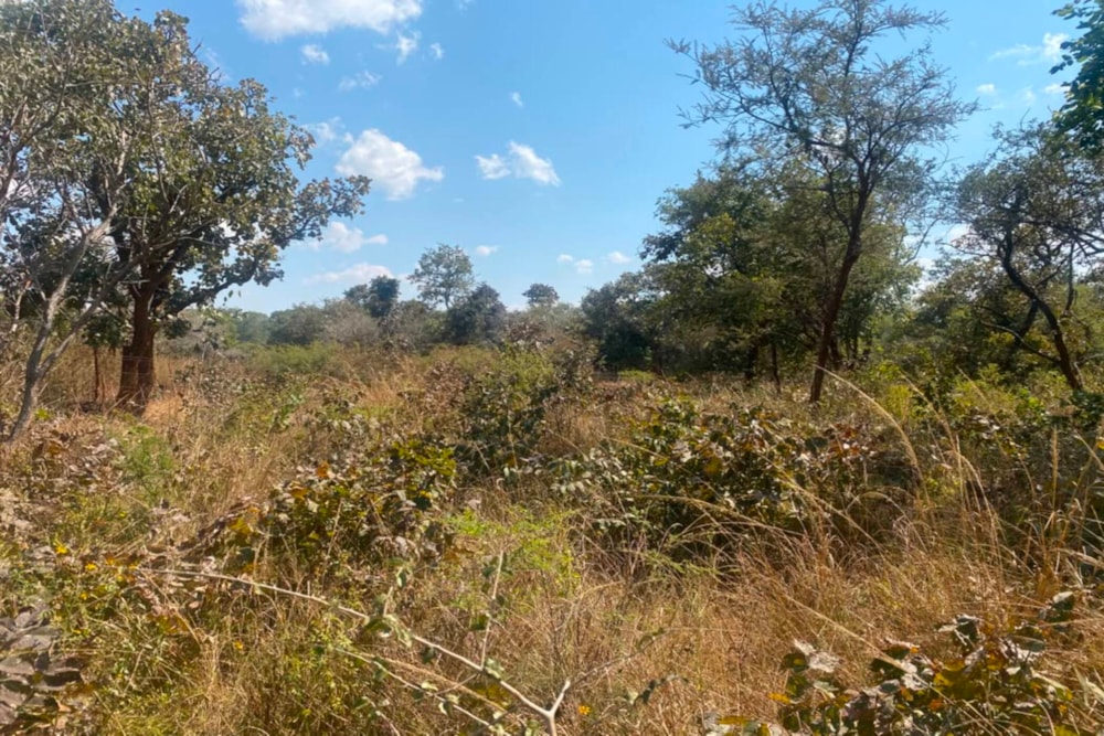 Vacant land for sale in Chongwe, Zambia - 3ZA1743463