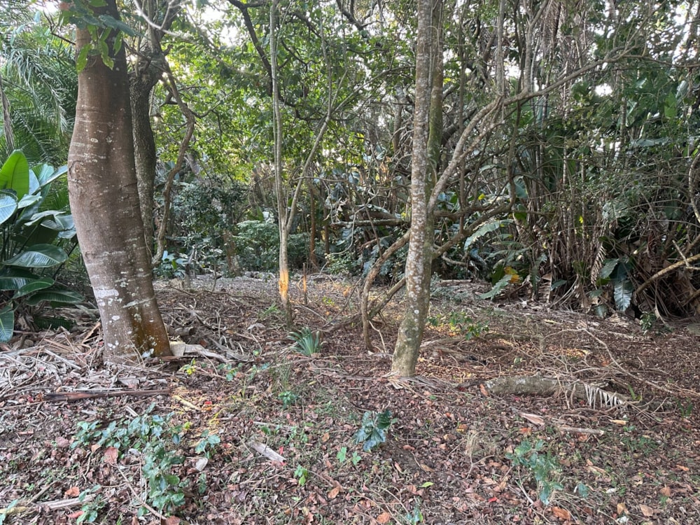 Residential vacant land for sale in San Lameer - 1PD1743546 Residential vacant land for sale in San Lameer - 1PD1743546