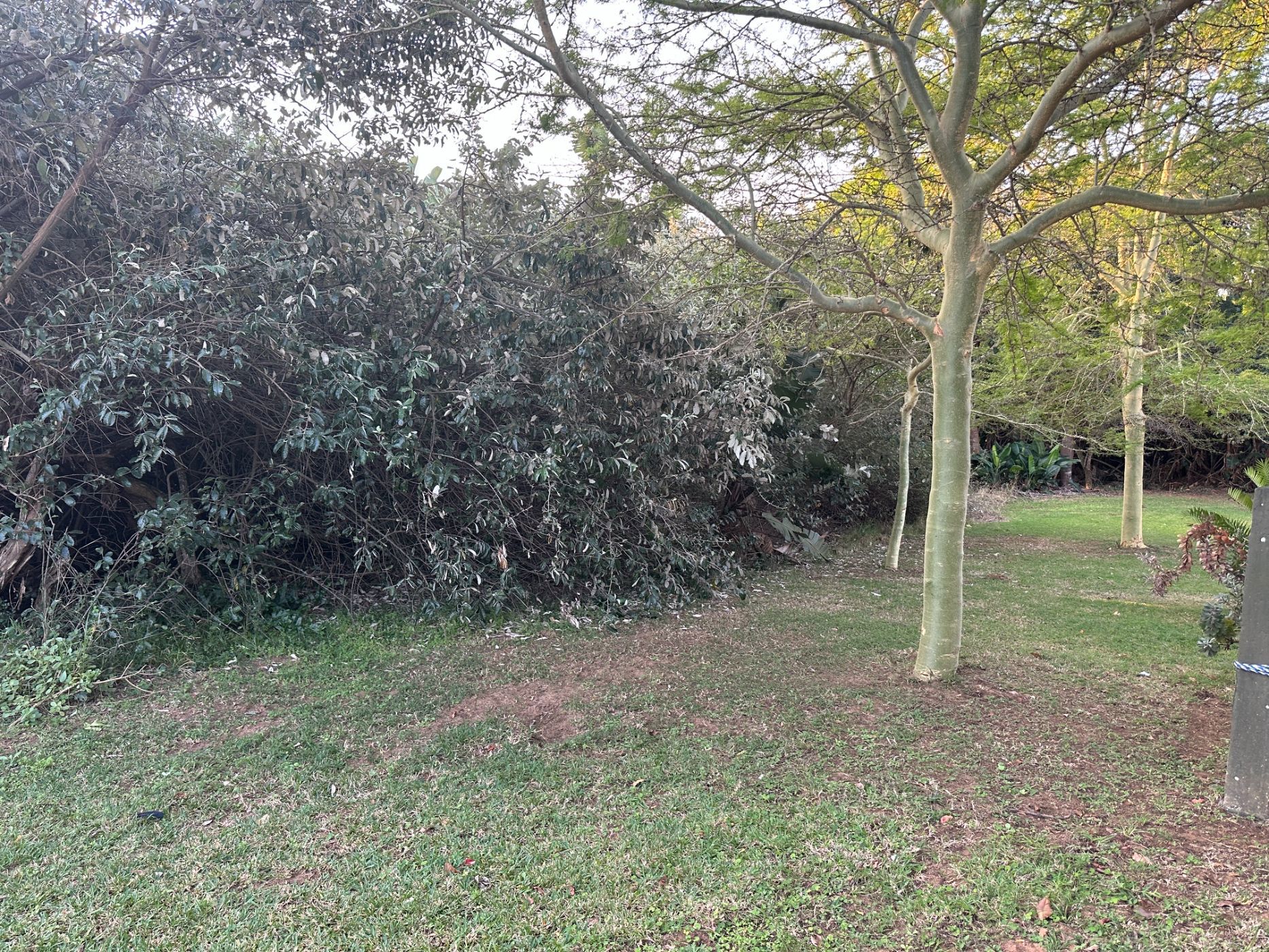 Residential vacant land for sale in San Lameer - 1PD1743546