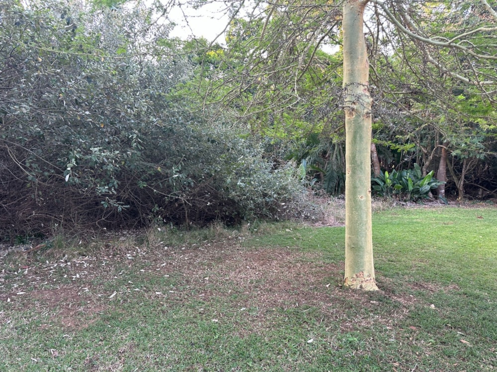 Residential vacant land for sale in San Lameer - 1PD1743546 Residential vacant land for sale in San Lameer - 1PD1743546
