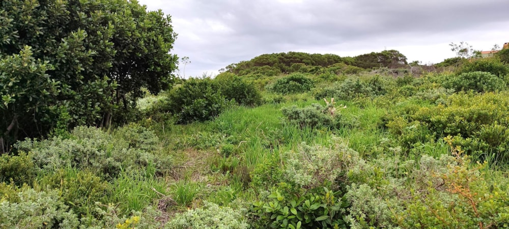 Vacant land for sale in Kleinbaai - 1SW1743653 Vacant land for sale in Kleinbaai - 1SW1743653