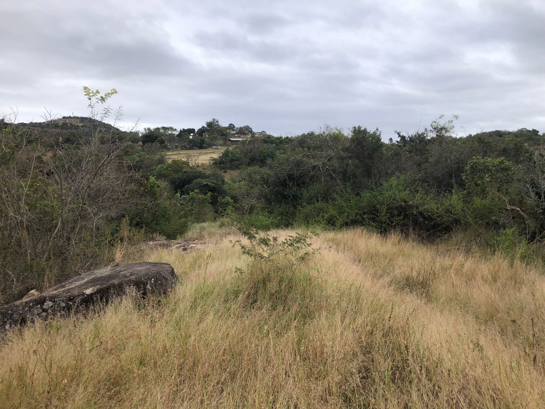 Residential vacant land for sale in Renosterkop - 1NS1743597
