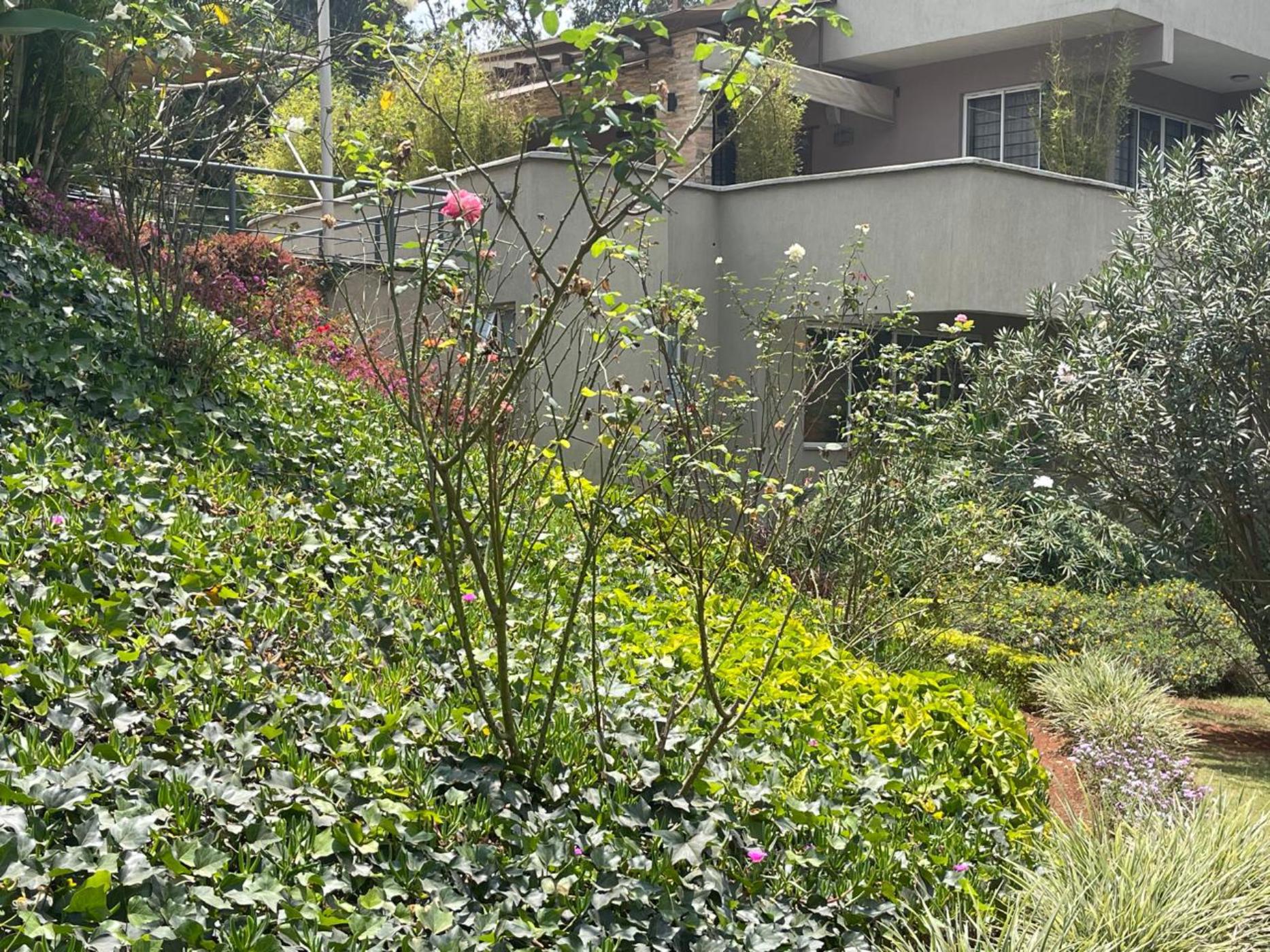 Apartment to rent in Lower Kabete, Kenya - 3KE1744426