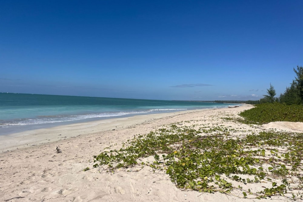 Vacant land for investment in Pemba, Cabo Delgado, Mozambique - 3MQ1743738 Vacant land for investment in Pemba, Cabo Delgado, Mozambique - 3MQ1743738