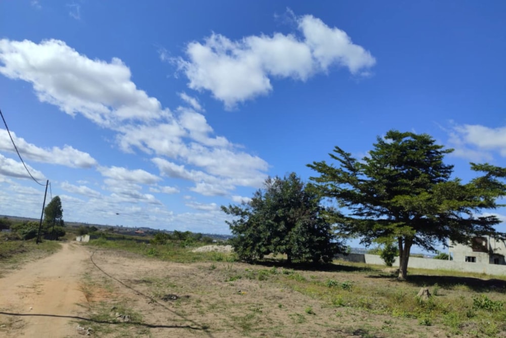 Vacant land for investment in Manica, Mozambique - 3MQ1743786 Vacant land for investment in Manica, Mozambique - 3MQ1743786