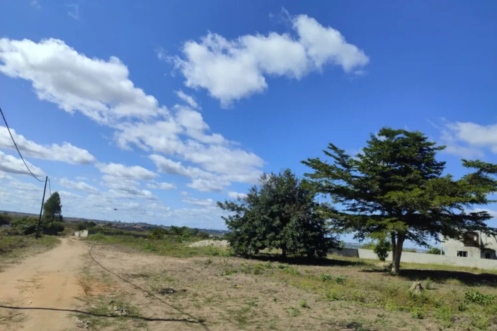 Vacant land for investment in Manica, Mozambique - 3MQ1743786 Vacant land for investment in Manica, Mozambique - 3MQ1743786