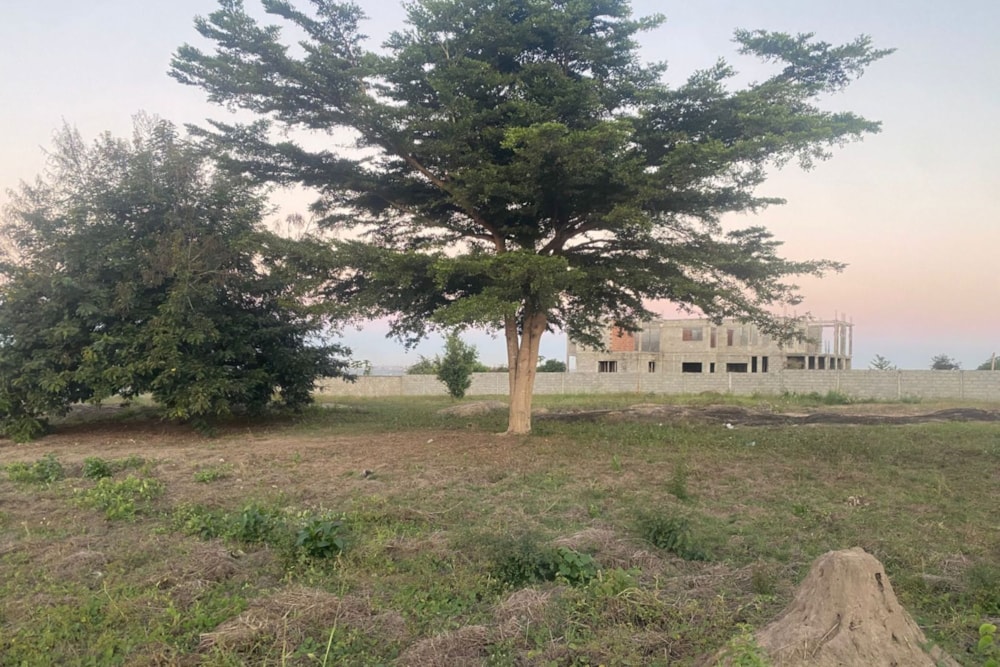Vacant land for investment in Manica, Mozambique - 3MQ1743786 Vacant land for investment in Manica, Mozambique - 3MQ1743786