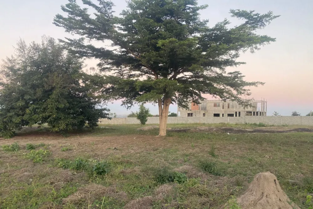 Vacant land for investment in Manica, Mozambique - 3MQ1743786 Vacant land for investment in Manica, Mozambique - 3MQ1743786