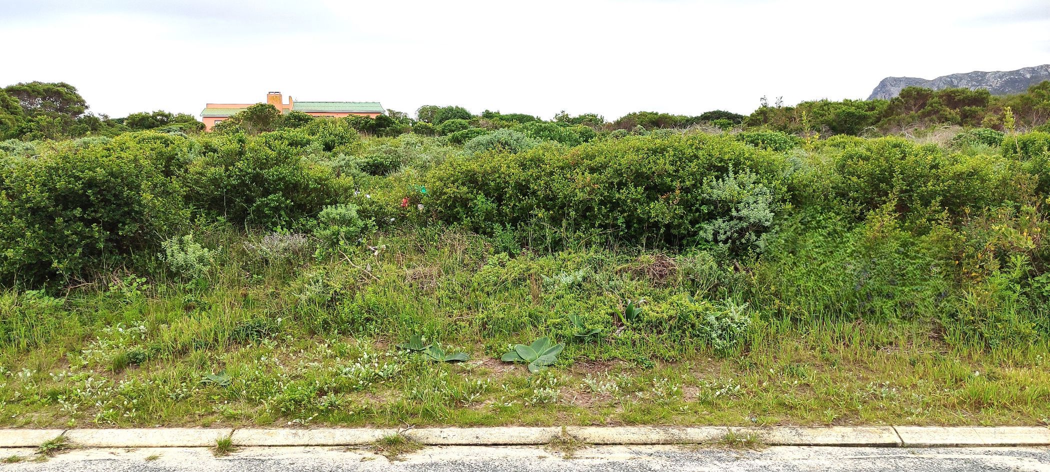 Vacant land for sale in Kleinbaai - 1SW1744448