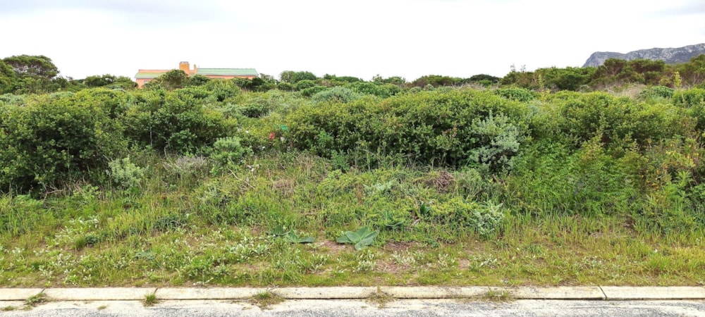 Vacant land for sale in Kleinbaai - 1SW1744448