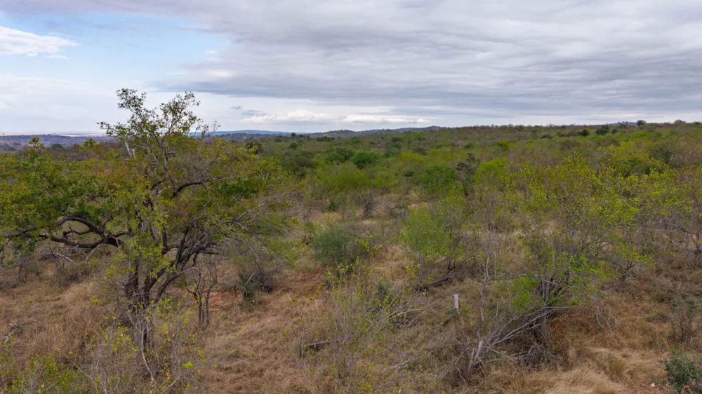 Vacant land for sale in Parsons Game Reserve - 1HS1744828