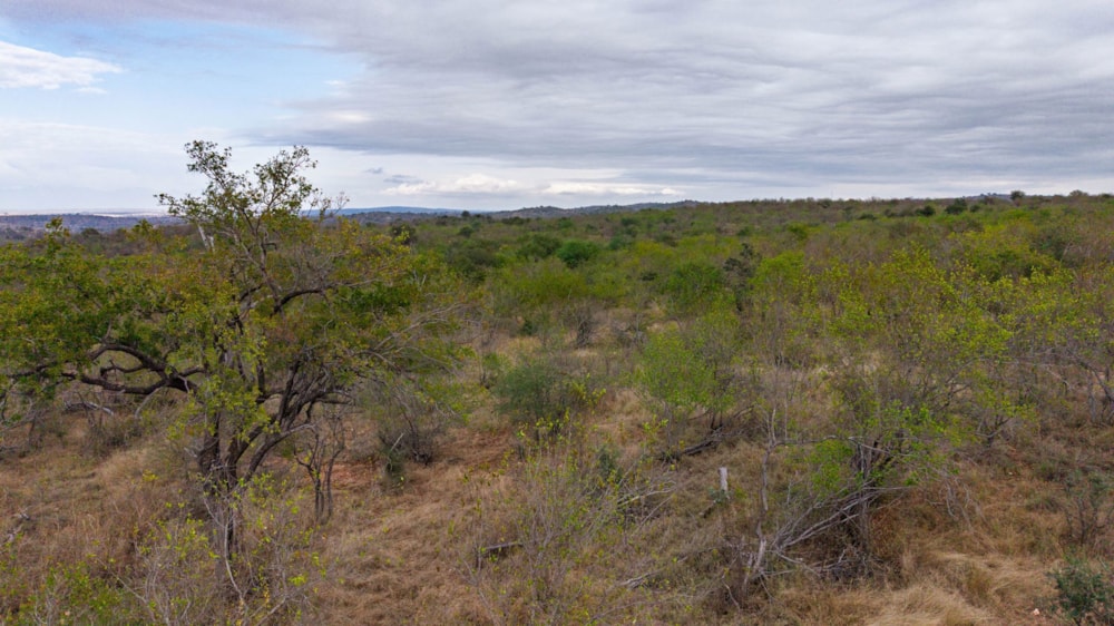 Vacant land for sale in Parsons Game Reserve - 1HS1744828 Vacant land for sale in Parsons Game Reserve - 1HS1744828