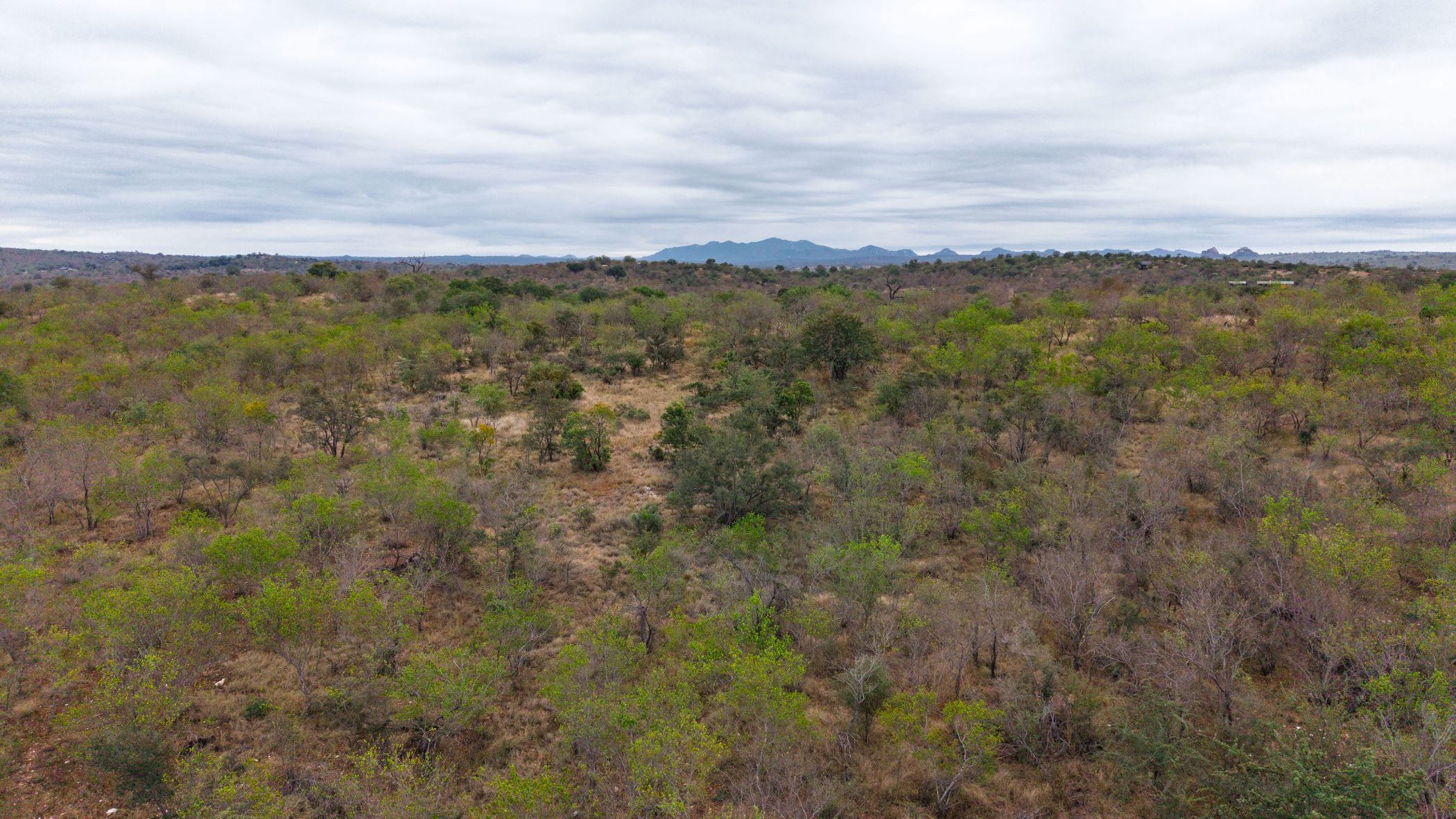 Vacant land for sale in Parsons Game Reserve - 1HS1744828