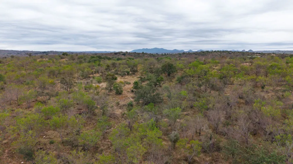 Vacant land for sale in Parsons Game Reserve - 1HS1744828