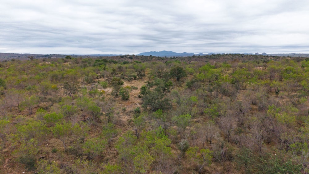 Vacant land for sale in Parsons Game Reserve - 1HS1744828 Vacant land for sale in Parsons Game Reserve - 1HS1744828