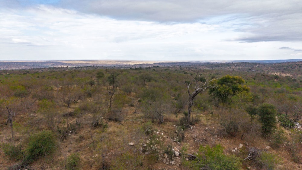 Vacant land for sale in Parsons Game Reserve - 1HS1744828 Vacant land for sale in Parsons Game Reserve - 1HS1744828
