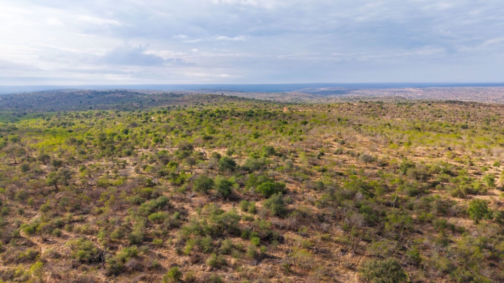 Vacant land for sale in Parsons Game Reserve - 1HS1744828 Vacant land for sale in Parsons Game Reserve - 1HS1744828