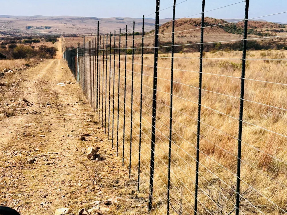 Livestock farm for sale in Potchefstroom Rural - 1PCH1743948 Livestock farm for sale in Potchefstroom Rural - 1PCH1743948