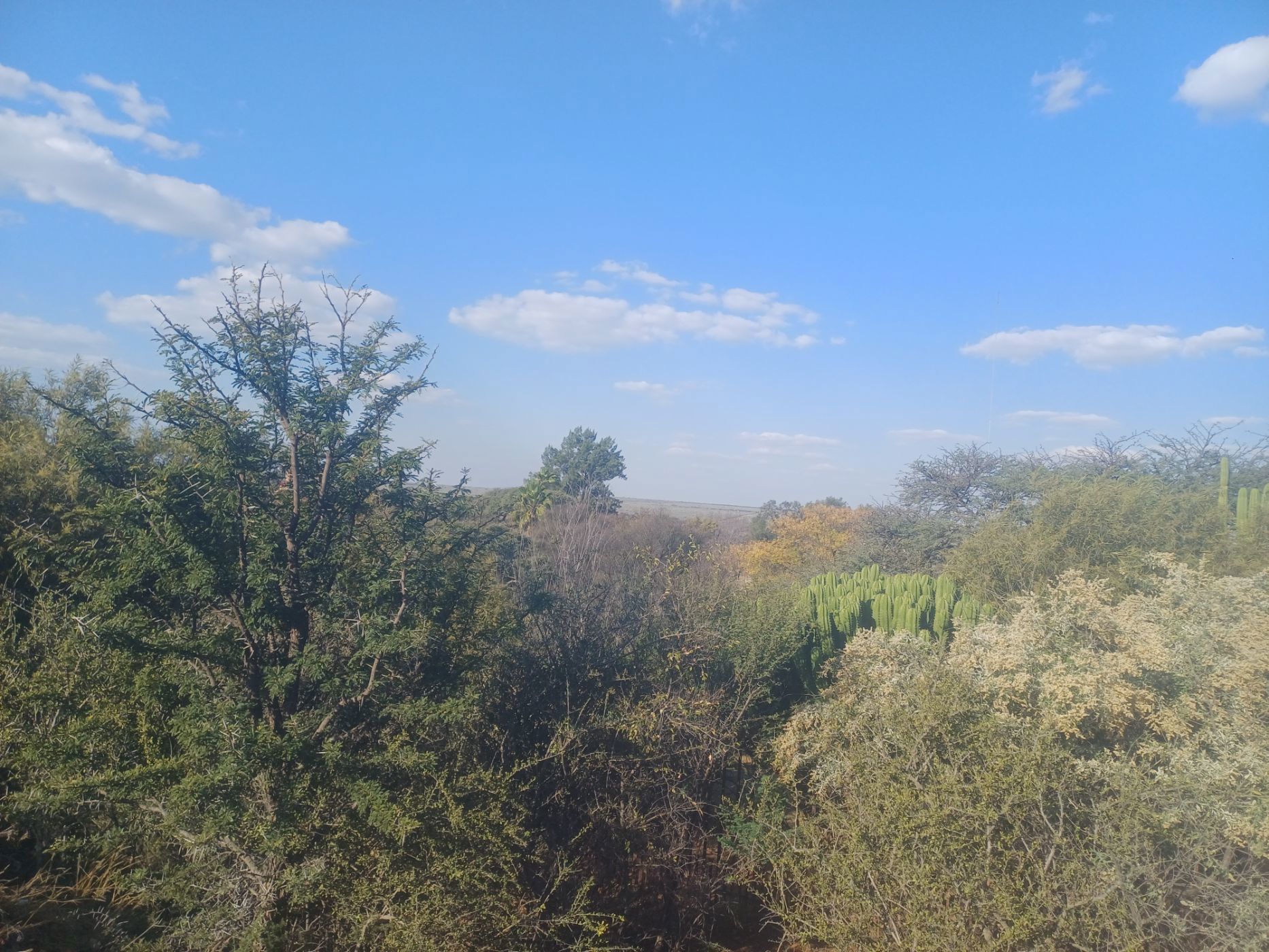 Vacant land for sale in Schweizer-Reneke - 1KJ1743992
