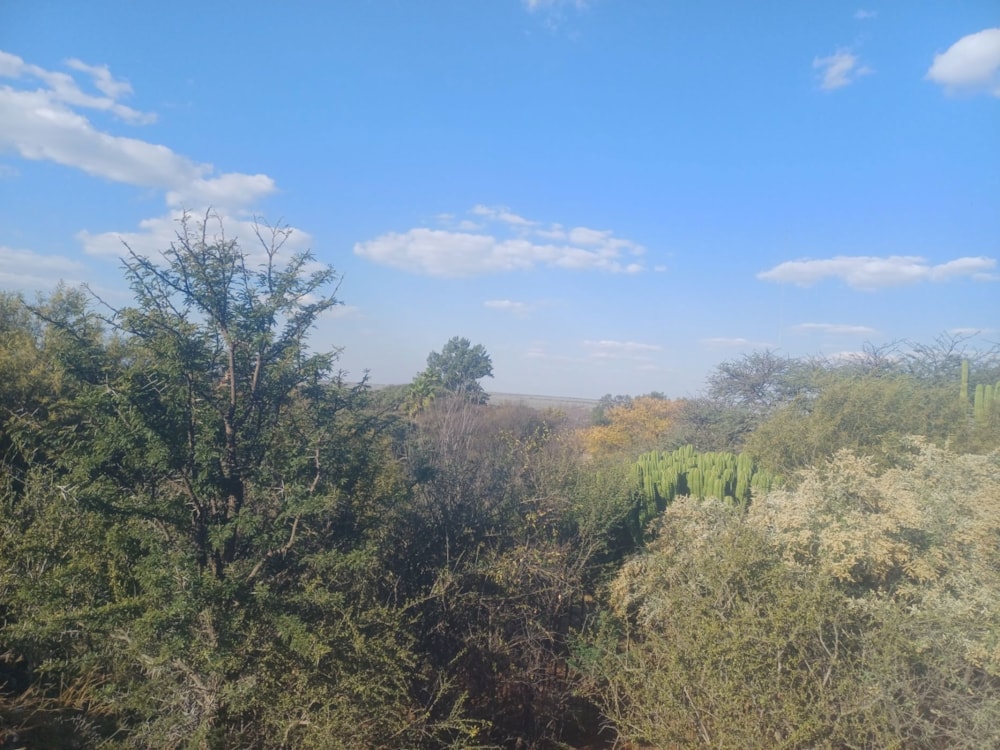Vacant land for sale in Schweizer-Reneke - 1KJ1743992