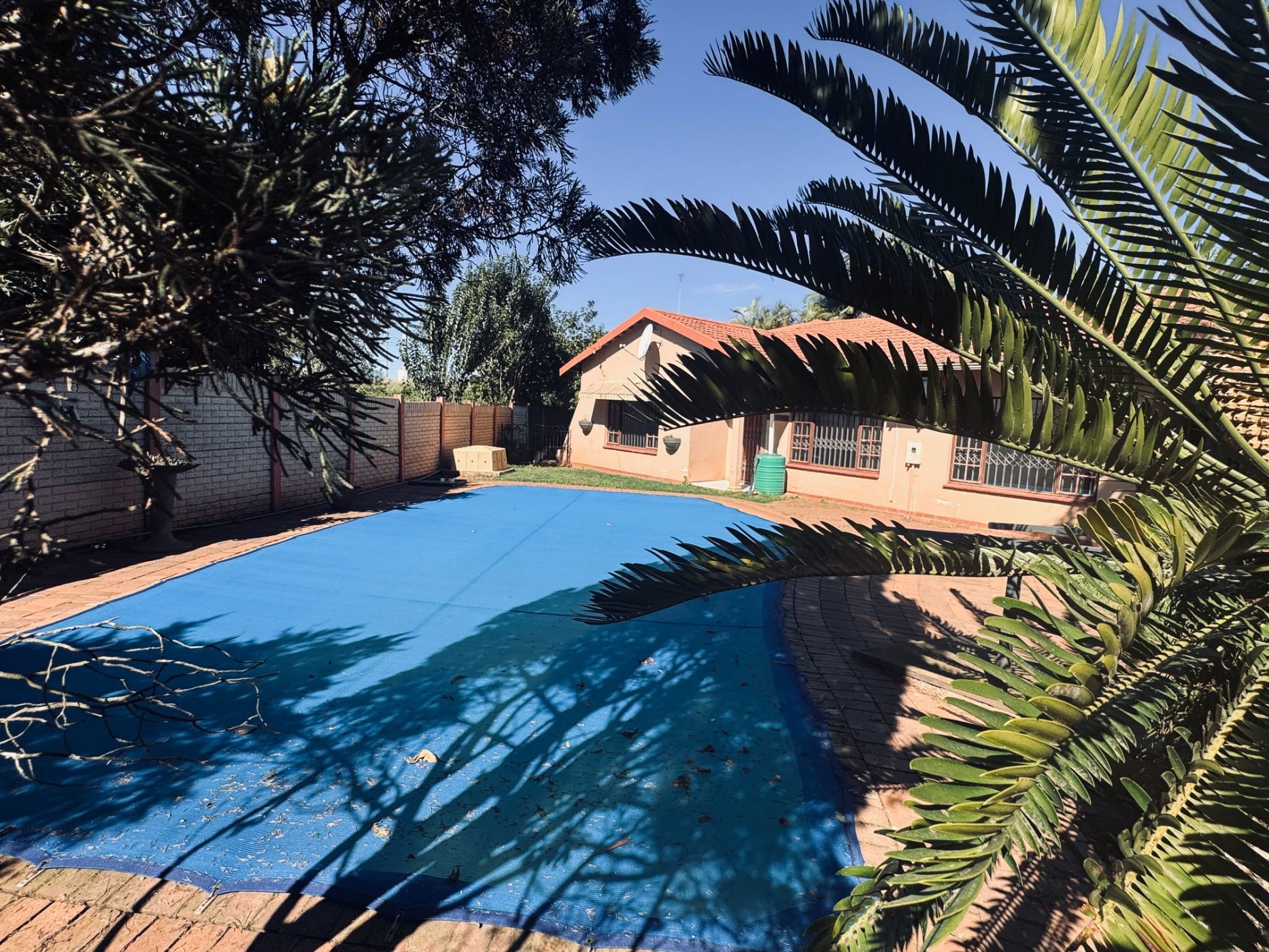 Single-storey house to rent in Camperdown - 1PM1744126