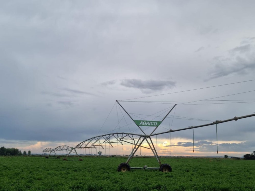Livestock farm for sale in Potchefstroom - 1PCH1744408