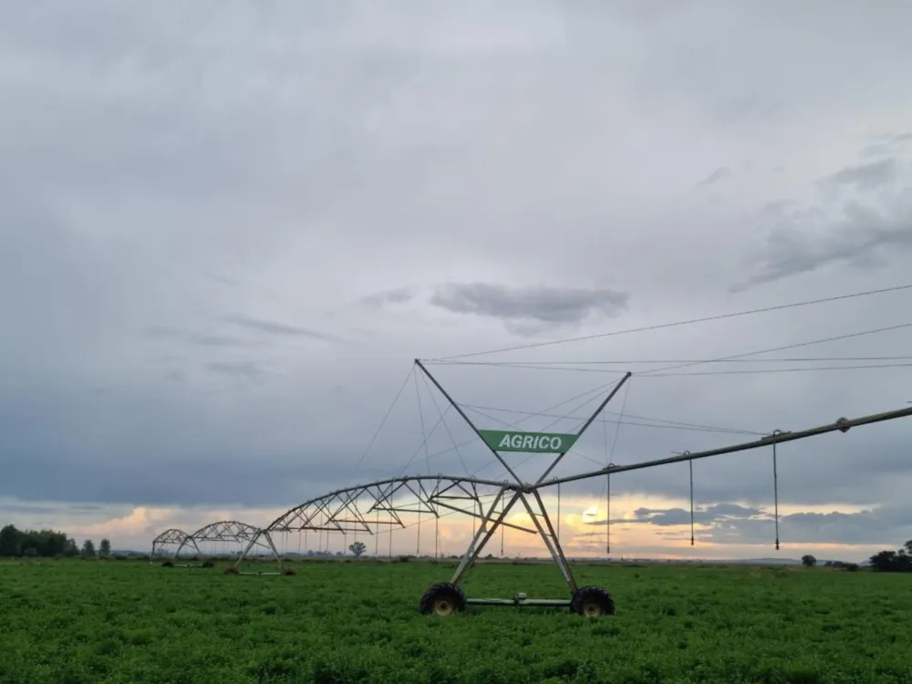 Livestock farm for sale in Potchefstroom Rural - 1PCH1744408 Livestock farm for sale in Potchefstroom Rural - 1PCH1744408