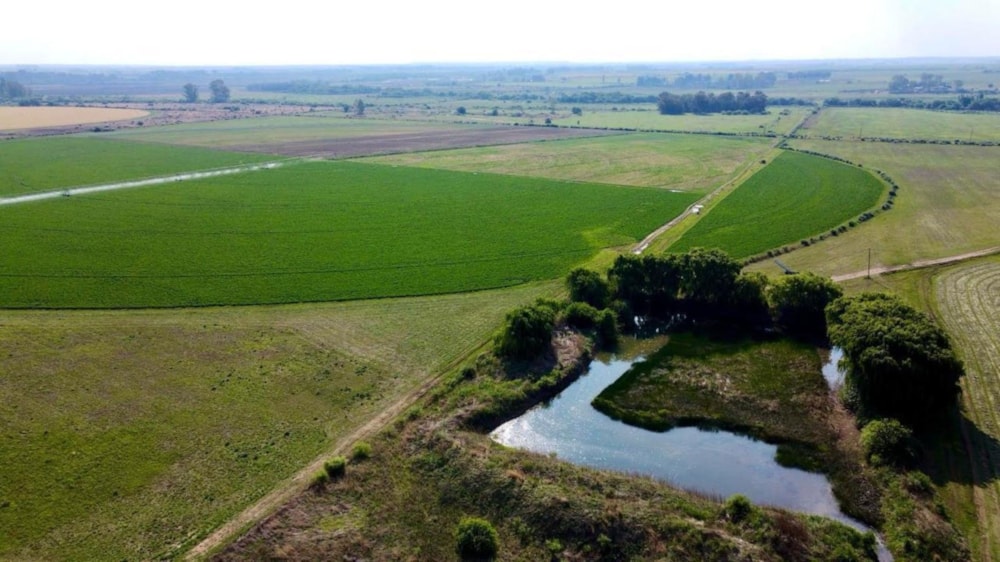 Livestock farm for sale in Potchefstroom - 1PCH1744408