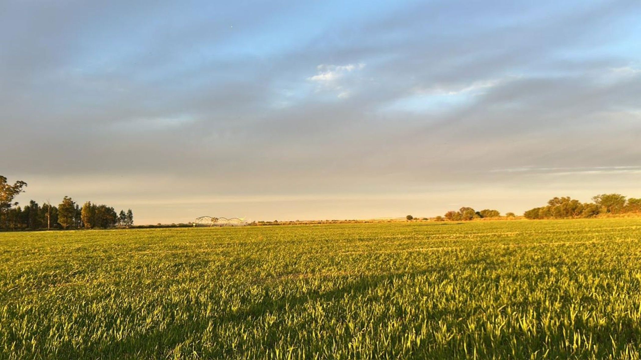 Livestock farm for sale in Potchefstroom - 1PCH1744408
