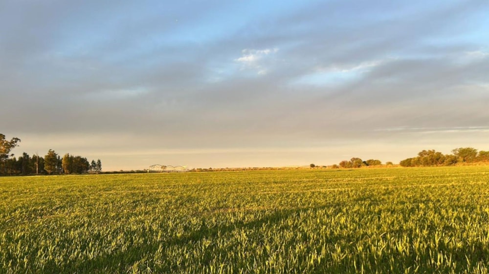 Livestock farm for sale in Potchefstroom - 1PCH1744408