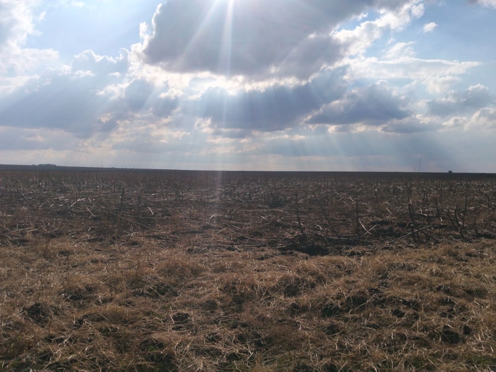 Farm vacant land for sale in Vaal Dam, Free State - 1VT1745804 Farm vacant land for sale in Vaal Dam, Free State - 1VT1745804