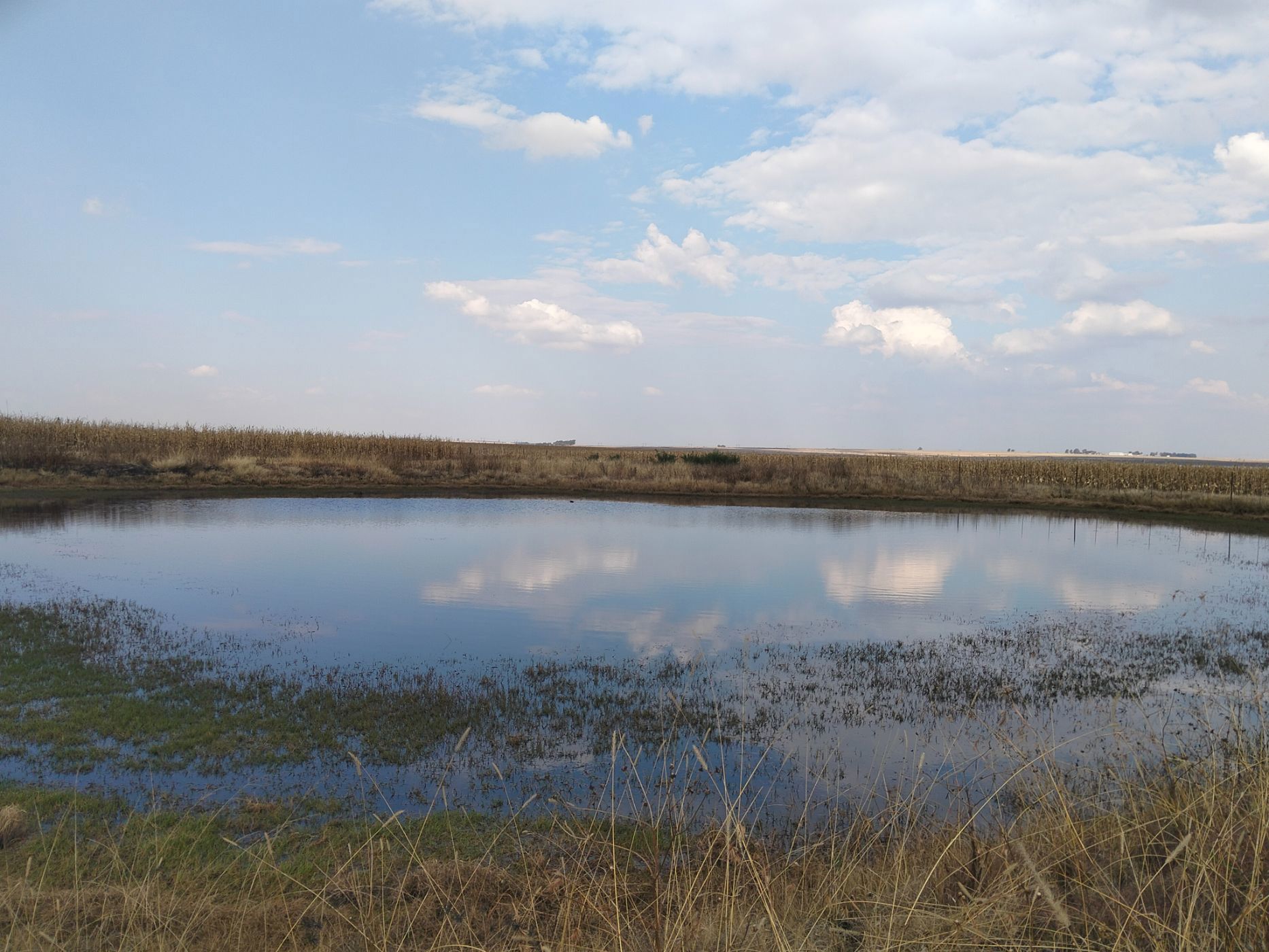 Farm vacant land for sale in Vaal Dam, Free State - 1VT1745804