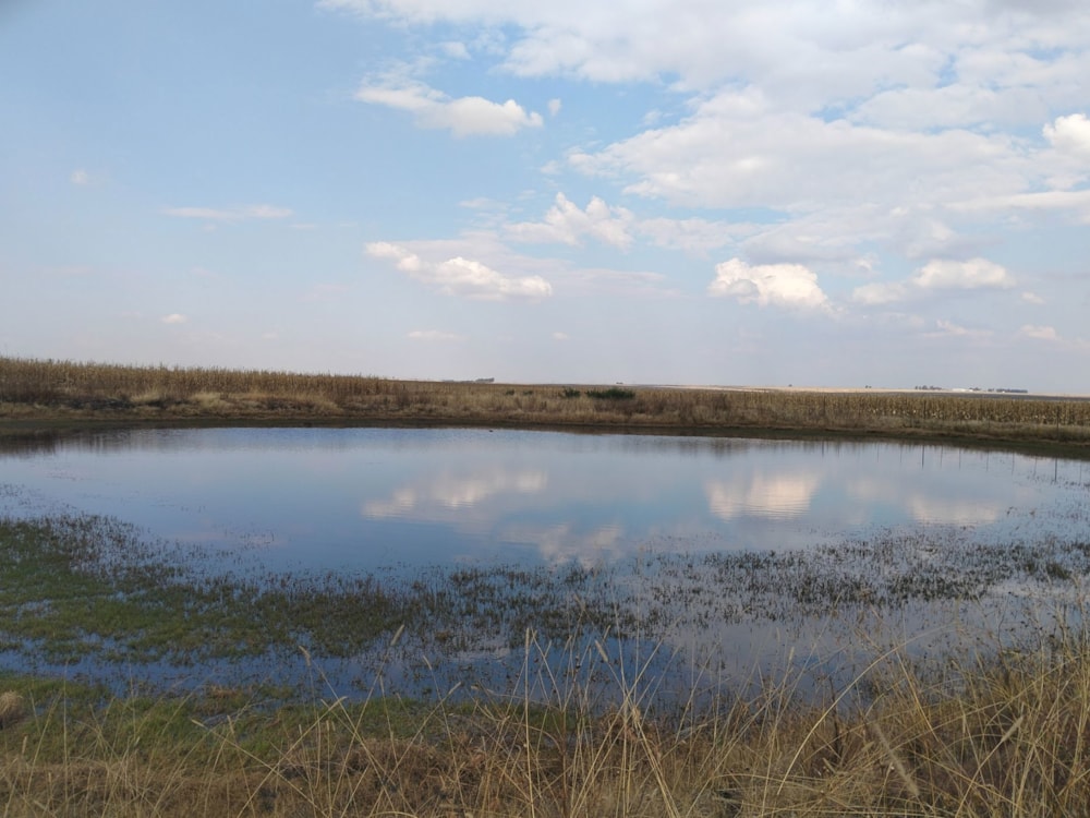 Farm vacant land for sale in Vaal Dam, Free State - 1VT1745804 Farm vacant land for sale in Vaal Dam, Free State - 1VT1745804