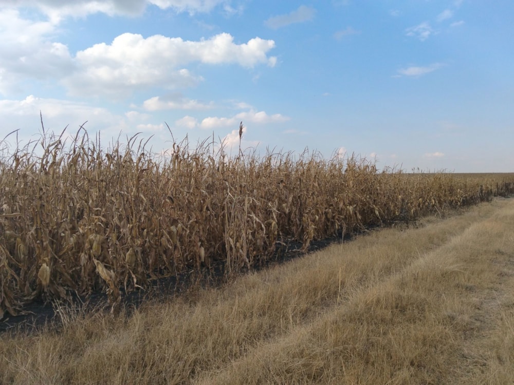 Farm vacant land for sale in Vaal Dam, Free State - 1VT1745804 Farm vacant land for sale in Vaal Dam, Free State - 1VT1745804
