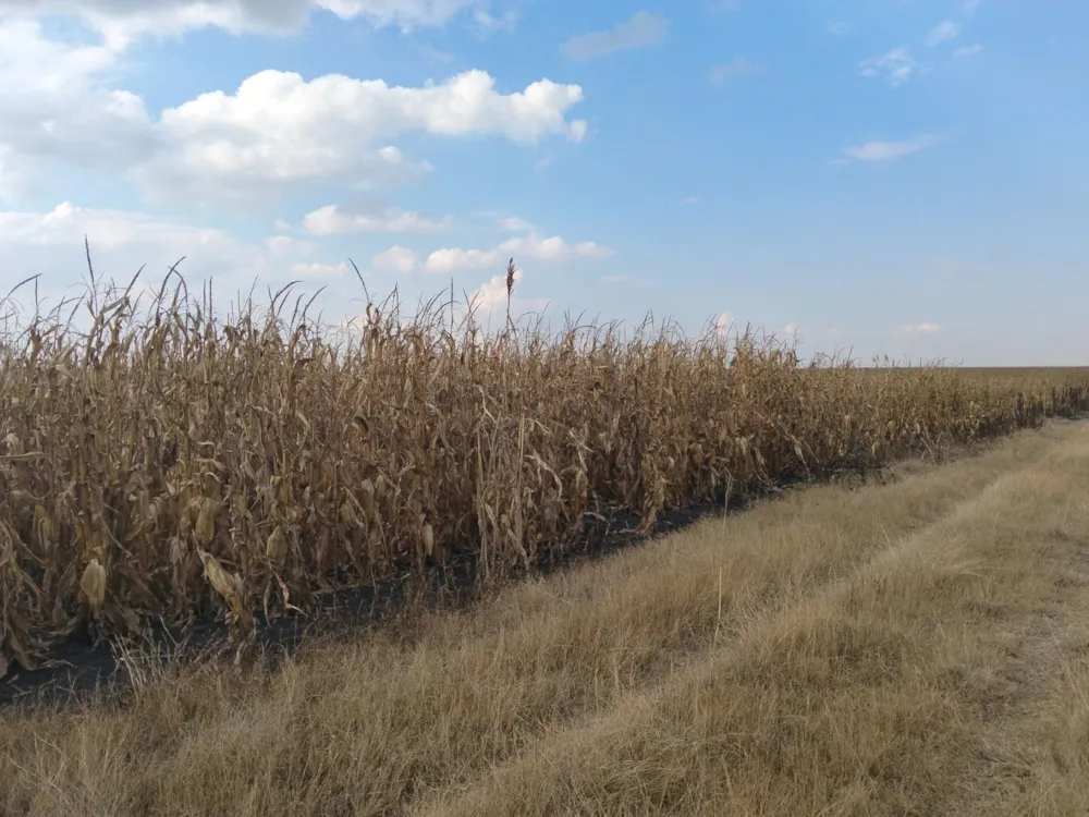 Farm vacant land for sale in Vaal Dam, Free State - 1VT1745804 Farm vacant land for sale in Vaal Dam, Free State - 1VT1745804